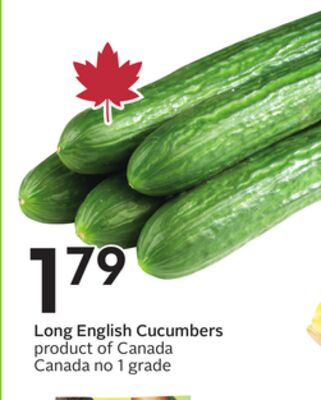 Long English Cucumbers