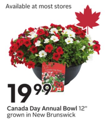 Canada Day Annual Bowl