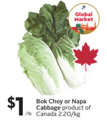 Bok Choy or Napa Cabbage