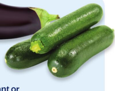 Large Green Zucchini