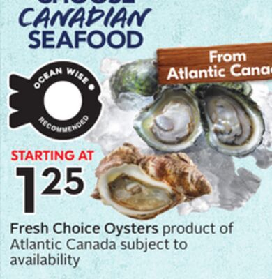 Fresh Choice Oysters