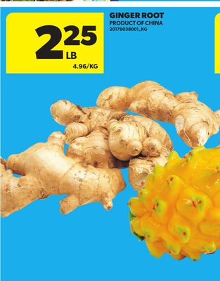 GINGER ROOT