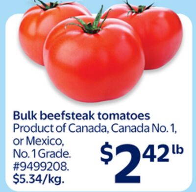 Bulk Beefsteak Tomatoes