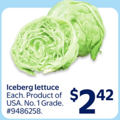 Iceberg Lettuce