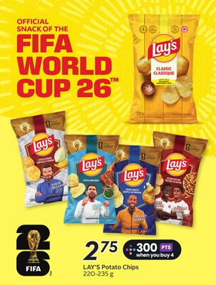 LAY'S Potato Chips