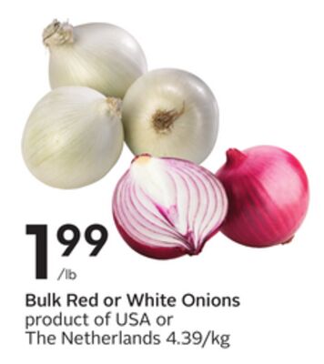 Bulk Red or White Onions