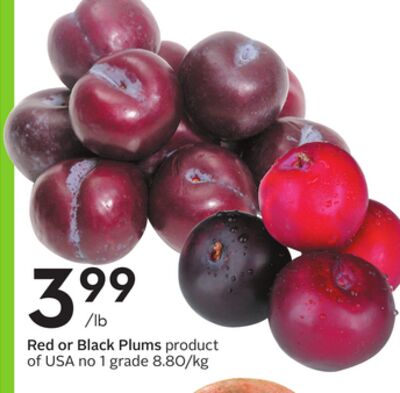 Red or Black Plums
