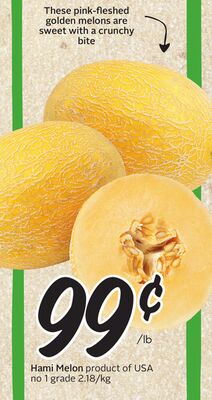 Hami Melon