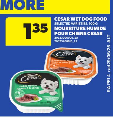 CESAR WET DOG FOOD, 100 G