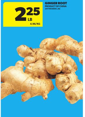 GINGER ROOT