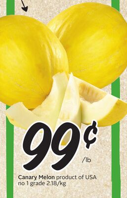 Canary Melon
