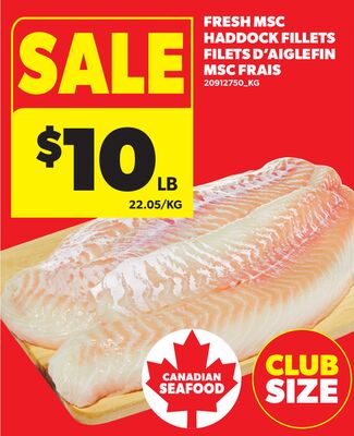 FRESH MSC HADDON FILLETS