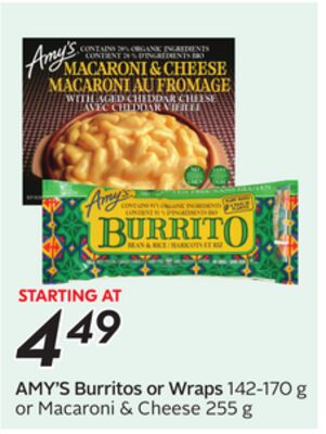Burritos or Wraps
