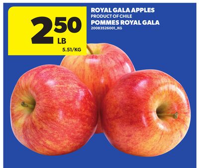 ROYAL GALA APPLES