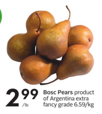 Bosc Pears