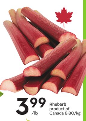 Rhubarb