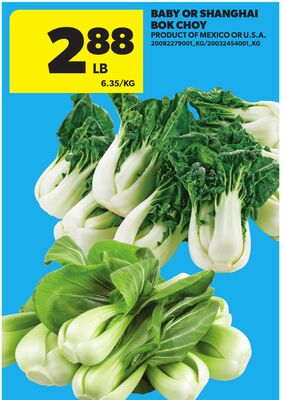 BABY OR SHANGHAI BOK CHOY