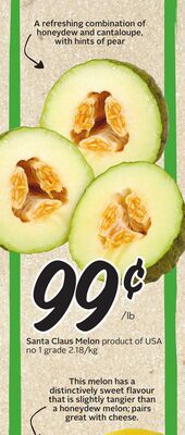 Santa Claus Melon