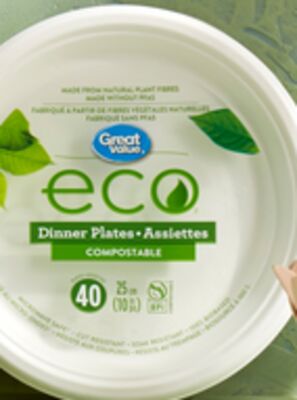 Great Value Eco 10" Plates