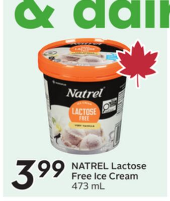 Lactose Free Ice Cream