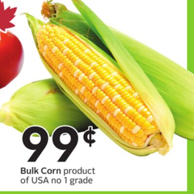 Bulk Corn