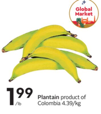 Plantain