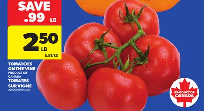 TOMATOES ON THE VINE