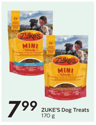 Dog Treats