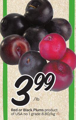 Red or Black Plums