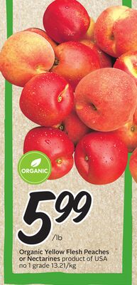 Organic Yellow Flesh Peaches or Nectarines