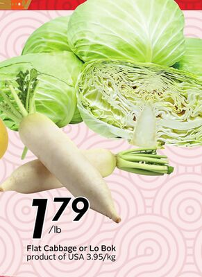 Flat Cabbage or Lo Bok