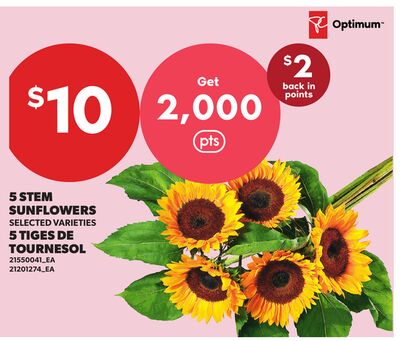 5 STEM SUNFLOWERS