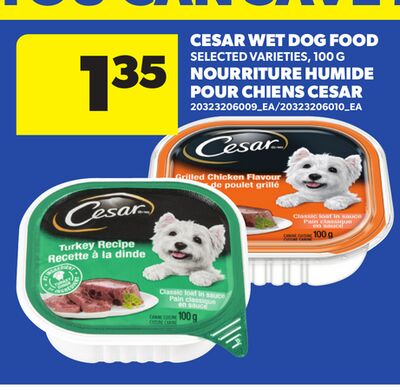CESAR WET DOG FOOD, 100 G