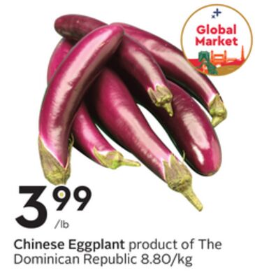 Chinese Eggplant