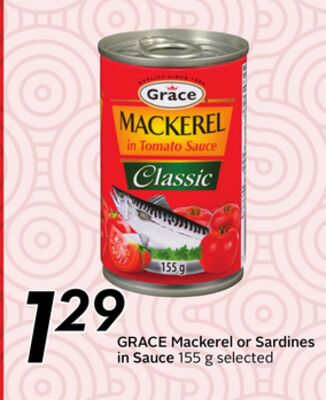 Mackerel or Sardines in Sauce