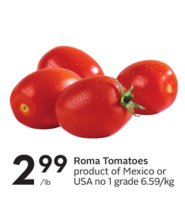 Roma Tomatoes
