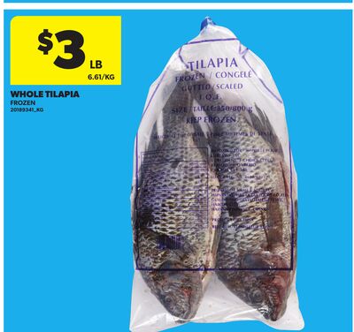 WHOLE TILAPIA