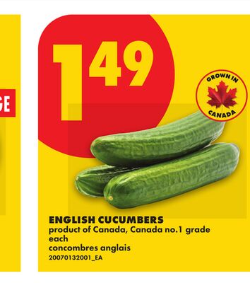 ENGLISH CUCUMBERS