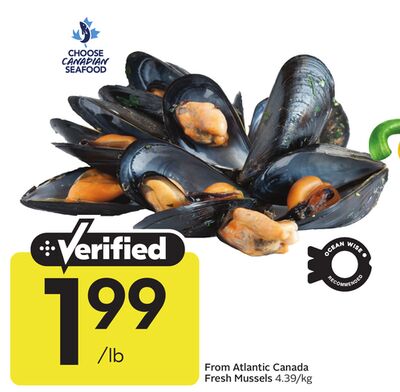 From Atlantic Canada Fresh Mussels