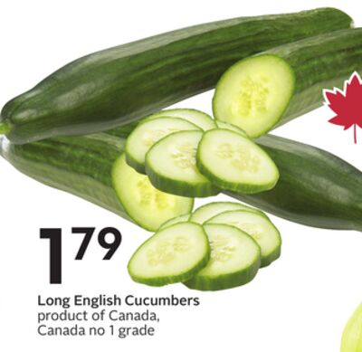 Long English Cucumbers