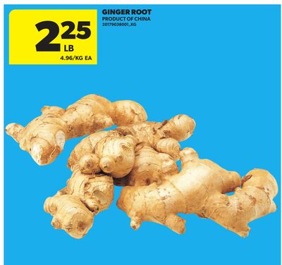 GINGER ROOT