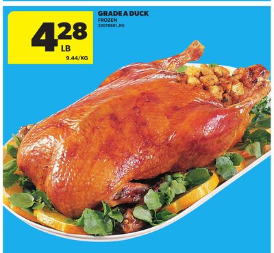 GRADE A DUCK