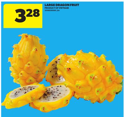 LARGE DRAGON FRUIT