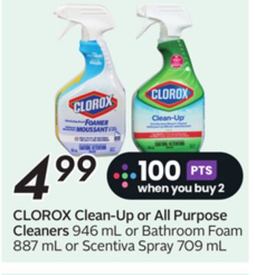 CLOROX Clean-Up or All Purpose Cleaners