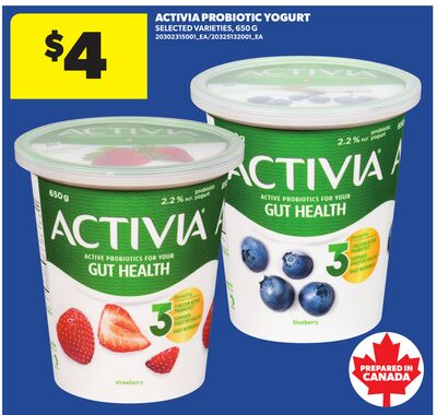 ACTIVIA PROBIOTIC YOGURT, 650 G