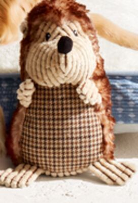 Vibrant Life Hedgehog Dog Toy
