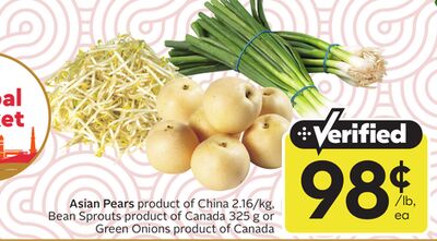 Asian Pears, Bean Sprouts, Green Onions
