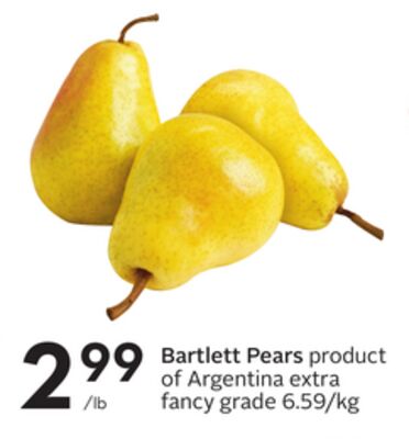 Bartlett Pears