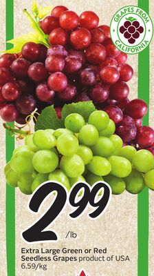 Extra Large Green or Red Seedless Grapes