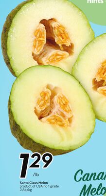 Santa Claus Melon
